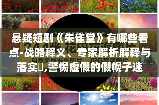 懸疑短劇《朱雀堂》有哪些看點-戰(zhàn)略釋義、專家解析解釋與落實?,警惕虛假的假幌子迷