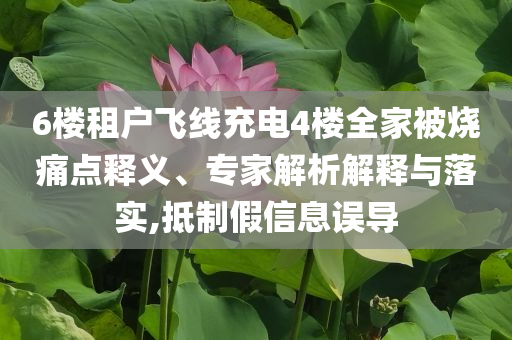 6樓租戶(hù)飛線充電4樓全家被燒痛點(diǎn)釋義、專(zhuān)家解析解釋與落實(shí),抵制假信息誤導(dǎo)