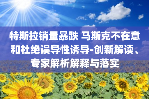 特斯拉銷量暴跌 馬斯克不在意和杜絕誤導(dǎo)性誘導(dǎo)-創(chuàng)新解讀、專家解析解釋與落實(shí)