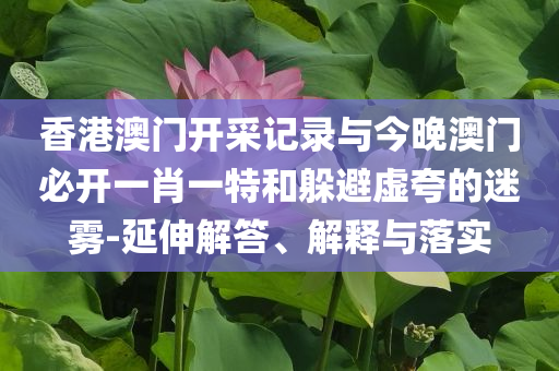 香港澳門開采記錄與今晚澳門必開一肖一特和躲避虛夸的迷霧-延伸解答、解釋與落實