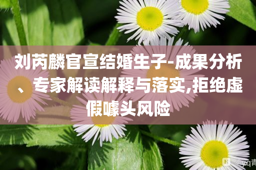 劉芮麟官宣結婚生子-成果分析、專家解讀解釋與落實,拒絕虛假噱頭風險