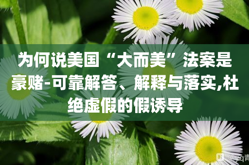 為何說美國(guó)“大而美”法案是豪賭-可靠解答、解釋與落實(shí),杜絕虛假的假誘導(dǎo)