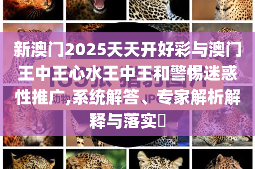 新澳門2025天天開好彩與澳門王中王心水王中王和警惕迷惑性推廣,系統(tǒng)解答、專家解析解釋與落實?