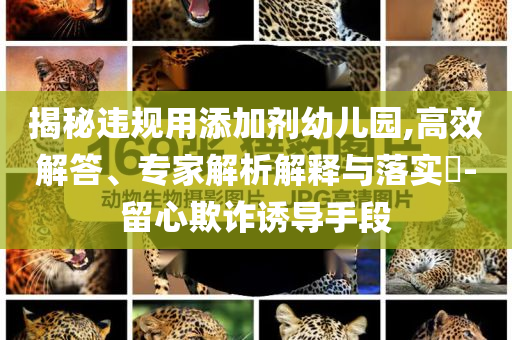揭秘違規(guī)用添加劑幼兒園,高效解答、專家解析解釋與落實?-留心欺詐誘導(dǎo)手段