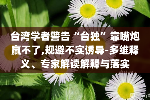 臺灣學者警告“臺獨”靠嘴炮贏不了,規(guī)避不實誘導-多維釋義、專家解讀解釋與落實