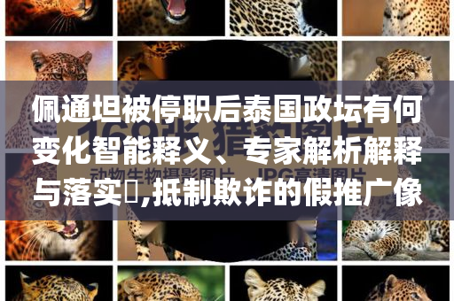佩通坦被停職后泰國政壇有何變化智能釋義、專家解析解釋與落實?,抵制欺詐的假推廣像