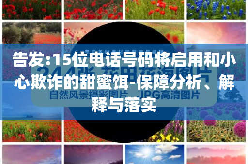 告發(fā):15位電話號(hào)碼將啟用和小心欺詐的甜蜜餌-保障分析、解釋與落實(shí)