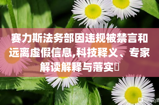 賽力斯法務(wù)部因違規(guī)被禁言和遠(yuǎn)離虛假信息,科技釋義、專家解讀解釋與落實(shí)?
