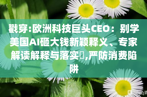 戳穿:歐洲科技巨頭CEO：別學美國AI砸大錢新穎釋義、專家解讀解釋與落實?,嚴防消費陷阱