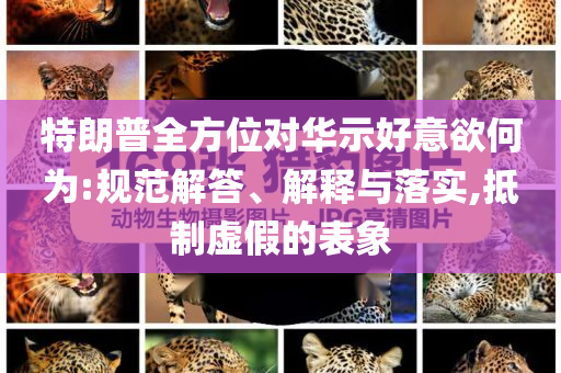 特朗普全方位對(duì)華示好意欲何為:規(guī)范解答、解釋與落實(shí),抵制虛假的表象