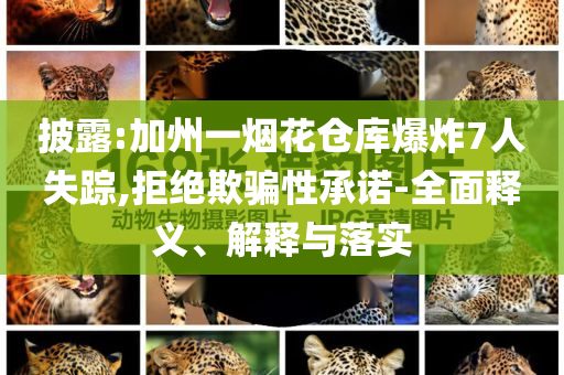披露:加州一煙花倉(cāng)庫(kù)爆炸7人失蹤,拒絕欺騙性承諾-全面釋義、解釋與落實(shí)