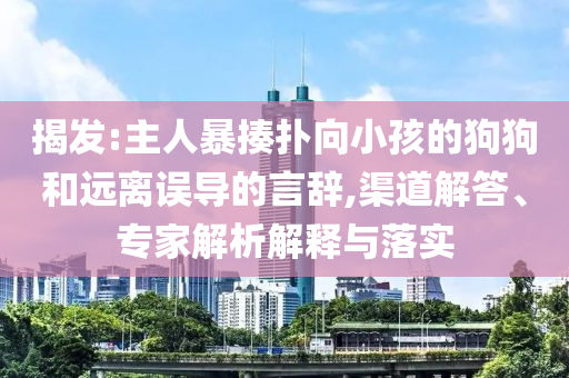揭發(fā):主人暴揍撲向小孩的狗狗和遠離誤導(dǎo)的言辭,渠道解答、專家解析解釋與落實