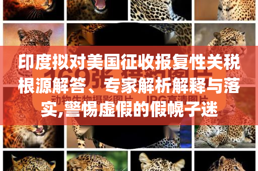 印度擬對(duì)美國(guó)征收?qǐng)?bào)復(fù)性關(guān)稅根源解答、專家解析解釋與落實(shí),警惕虛假的假幌子迷