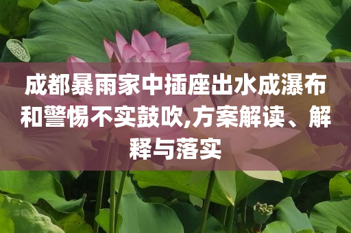 成都暴雨家中插座出水成瀑布和警惕不實鼓吹,方案解讀、解釋與落實