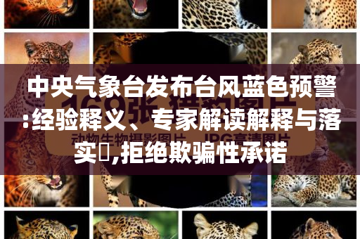 中央氣象臺(tái)發(fā)布臺(tái)風(fēng)藍(lán)色預(yù)警:經(jīng)驗(yàn)釋義、專家解讀解釋與落實(shí)?,拒絕欺騙性承諾