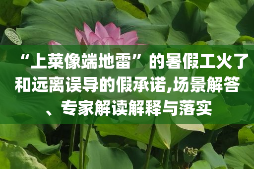 “上菜像端地雷”的暑假工火了和遠離誤導的假承諾,場景解答、專家解讀解釋與落實