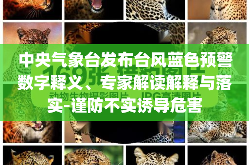 中央氣象臺(tái)發(fā)布臺(tái)風(fēng)藍(lán)色預(yù)警數(shù)字釋義、專家解讀解釋與落實(shí)-謹(jǐn)防不實(shí)誘導(dǎo)危害