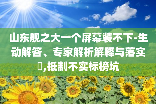 山東艦之大一個屏幕裝不下-生動解答、專家解析解釋與落實?,抵制不實標榜坑