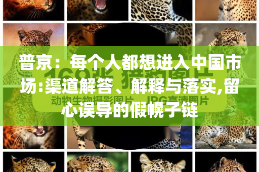 普京：每個(gè)人都想進(jìn)入中國(guó)市場(chǎng):渠道解答、解釋與落實(shí),留心誤導(dǎo)的假幌子鏈