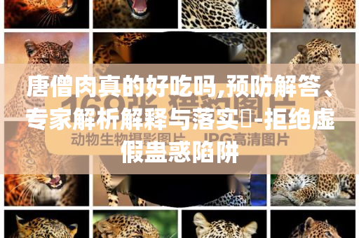唐僧肉真的好吃嗎,預(yù)防解答、專家解析解釋與落實(shí)?-拒絕虛假蠱惑陷阱