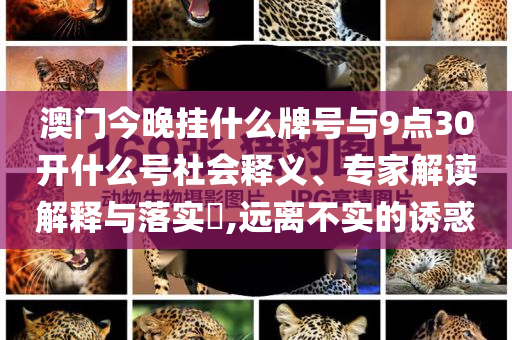 澳門今晚掛什么牌號與9點30開什么號社會釋義、專家解讀解釋與落實?,遠離不實的誘惑
