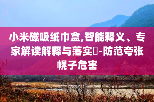 小米磁吸紙巾盒,智能釋義、專家解讀解釋與落實?-防范夸張幌子危害