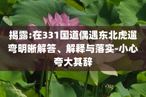 揭露:在331國道偶遇東北虎遛彎明晰解答、解釋與落實-小心夸大其辭