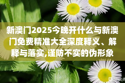 新澳門2025今晚開什么與新澳門免費精準(zhǔn)大全深度釋義、解釋與落實,謹(jǐn)防不實的偽形象
