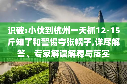 識破:小伙到杭州一天抓12-15斤知了和警惕夸張幌子,詳盡解答、專家解讀解釋與落實