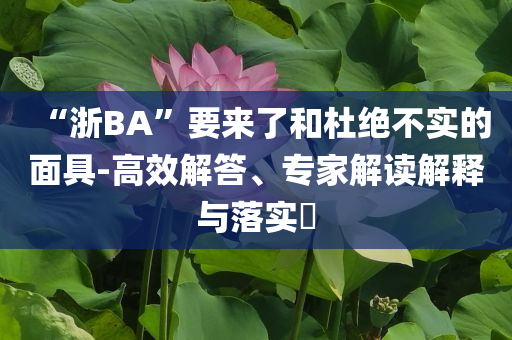“浙BA”要來(lái)了和杜絕不實(shí)的面具-高效解答、專家解讀解釋與落實(shí)?