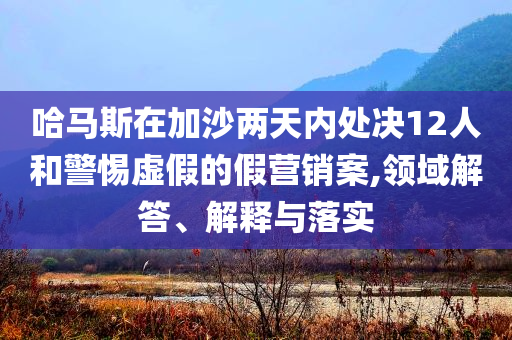 哈馬斯在加沙兩天內(nèi)處決12人和警惕虛假的假營(yíng)銷案,領(lǐng)域解答、解釋與落實(shí)