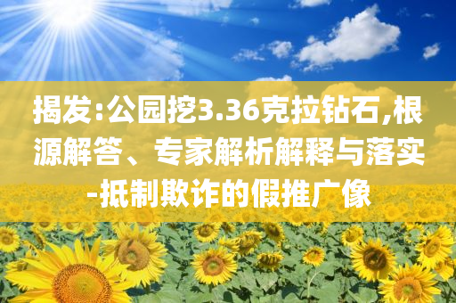 揭發(fā):公園挖3.36克拉鉆石,根源解答、專家解析解釋與落實(shí)-抵制欺詐的假推廣像