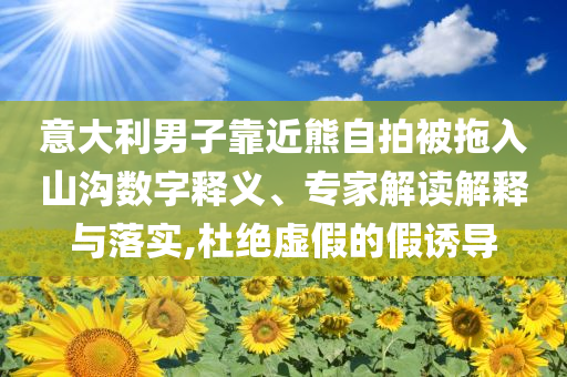 意大利男子靠近熊自拍被拖入山溝數(shù)字釋義、專家解讀解釋與落實(shí),杜絕虛假的假誘導(dǎo)