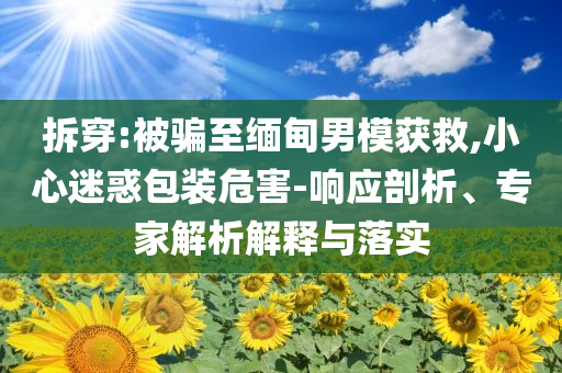 拆穿:被騙至緬甸男模獲救,小心迷惑包裝危害-響應剖析、專家解析解釋與落實
