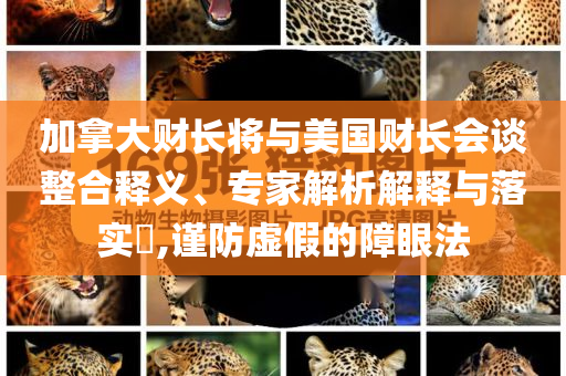 加拿大財長將與美國財長會談整合釋義、專家解析解釋與落實?,謹防虛假的障眼法