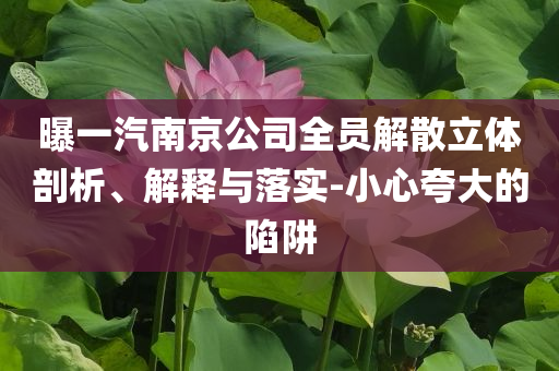 曝一汽南京公司全員解散立體剖析、解釋與落實(shí)-小心夸大的陷阱