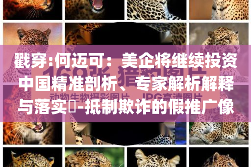戳穿:何邁可：美企將繼續(xù)投資中國精準(zhǔn)剖析、專家解析解釋與落實?-抵制欺詐的假推廣像