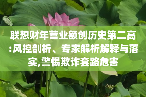 聯(lián)想財年營業(yè)額創(chuàng)歷史第二高:風(fēng)控剖析、專家解析解釋與落實,警惕欺詐套路危害