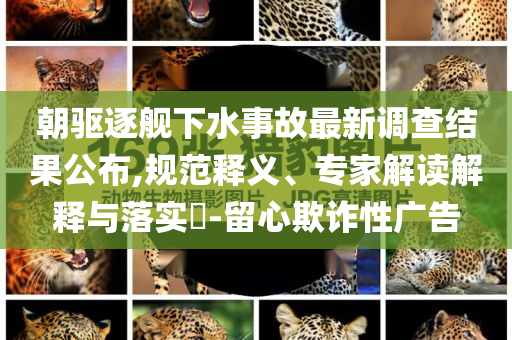 朝驅(qū)逐艦下水事故最新調(diào)查結(jié)果公布,規(guī)范釋義、專家解讀解釋與落實?-留心欺詐性廣告