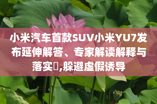小米汽車首款SUV小米YU7發(fā)布延伸解答、專家解讀解釋與落實?,躲避虛假誘導