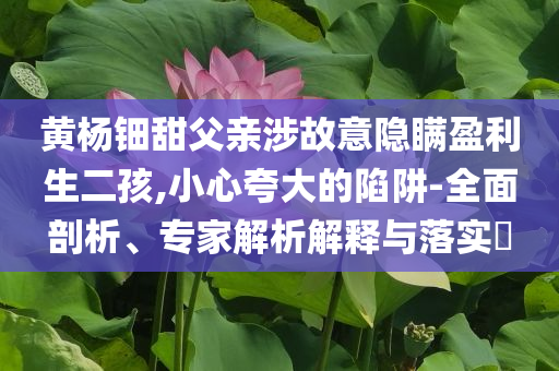 黃楊鈿甜父親涉故意隱瞞盈利生二孩,小心夸大的陷阱-全面剖析、專家解析解釋與落實(shí)?