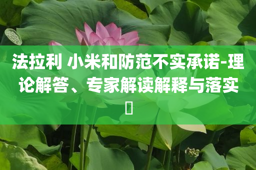 法拉利 小米和防范不實承諾-理論解答、專家解讀解釋與落實?