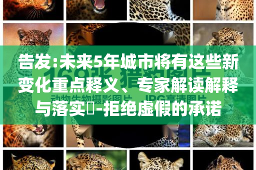 告發(fā):未來5年城市將有這些新變化重點釋義、專家解讀解釋與落實?-拒絕虛假的承諾