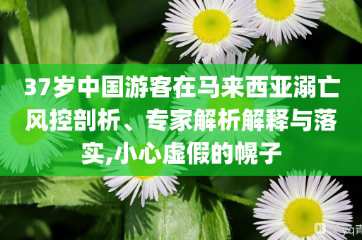 37歲中國(guó)游客在馬來(lái)西亞溺亡風(fēng)控剖析、專(zhuān)家解析解釋與落實(shí),小心虛假的幌子
