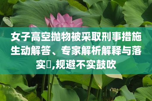 女子高空拋物被采取刑事措施生動解答、專家解析解釋與落實(shí)?,規(guī)避不實(shí)鼓吹