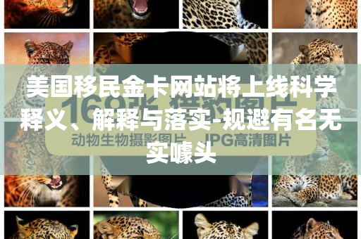 美國移民金卡網(wǎng)站將上線科學(xué)釋義、解釋與落實(shí)-規(guī)避有名無實(shí)噱頭