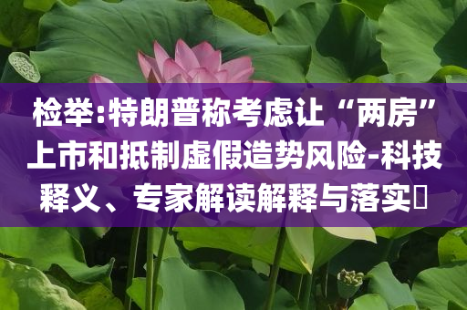 檢舉:特朗普稱考慮讓“兩房”上市和抵制虛假造勢風(fēng)險(xiǎn)-科技釋義、專家解讀解釋與落實(shí)?