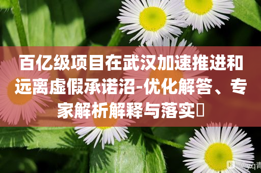 百億級(jí)項(xiàng)目在武漢加速推進(jìn)和遠(yuǎn)離虛假承諾沼-優(yōu)化解答、專家解析解釋與落實(shí)?