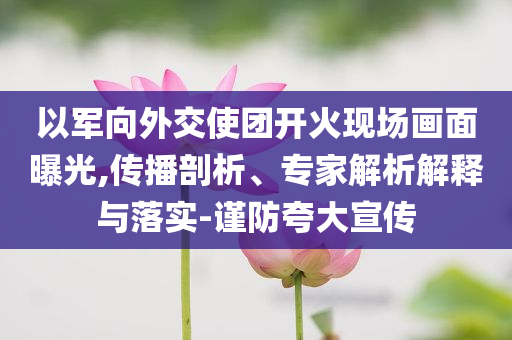 以軍向外交使團開火現(xiàn)場畫面曝光,傳播剖析、專家解析解釋與落實-謹防夸大宣傳