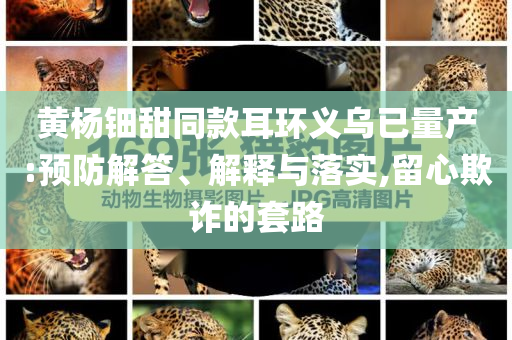 黃楊鈿甜同款耳環(huán)義烏已量產(chǎn):預(yù)防解答、解釋與落實(shí),留心欺詐的套路